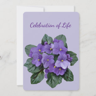 Memorial Service African Violet Houseplant Inbjudningar