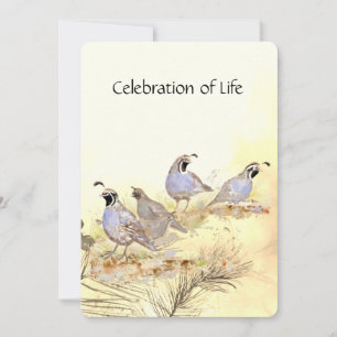 Memorial Service California Quail Bird Group Inbjudningar