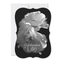 Memorial Service Firande i Life 3 Vit ros