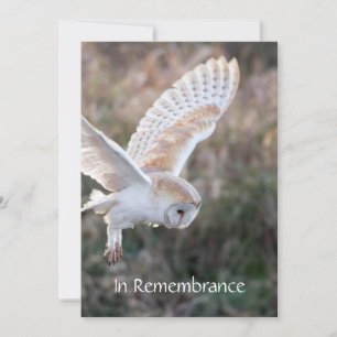 Memorial Service Inbjudan Barn Uggla Bird Flight