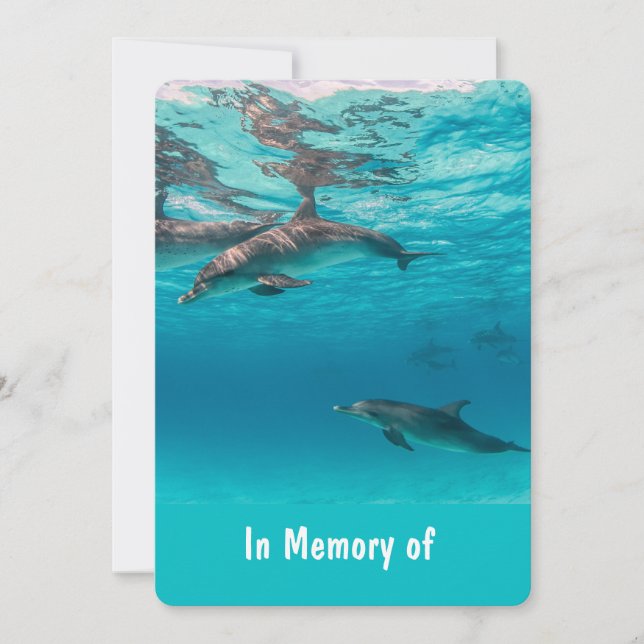 Memorial Service Inbjudan Dolphins Underwater Ocea (Framsida)