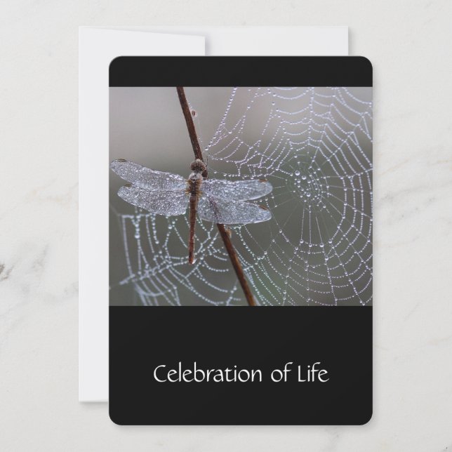 Memorial Service Inbjudan Dragonfly Dewdrops (Framsida)