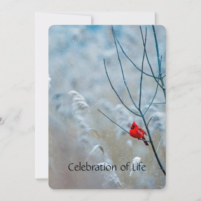 Memorial Service Inbjudan kardinal Red Bird (Framsida)