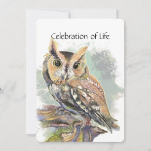 Memorial Service Inbjudan Screech Uggla Bird Anima
