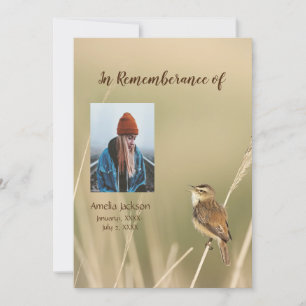 Memorial Service Inbjudan Sparrow Bird Watcher