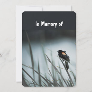 Memorial Service Inbjudan Wetlands Marsh Blackbird
