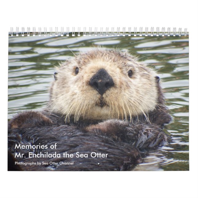 Memories of Mr.Enchilada Calendar Kalender (Omslag)
