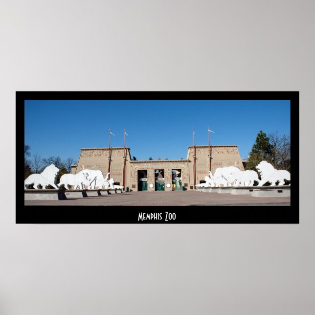 Memphis Zoo Poster (Framsidan)