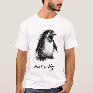 men varför pingvin t shirt