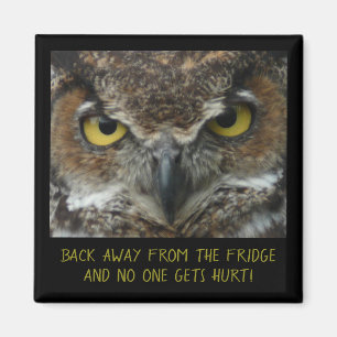 Menacing Uggla Photo - PERFEKT DIET MAGNET! Magnet