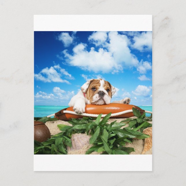 Menar du allvar? vykort (Framsida)