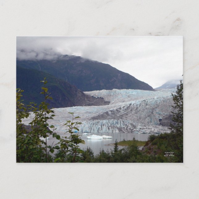 Mendenhall glaciärvykort vykort (Framsida)