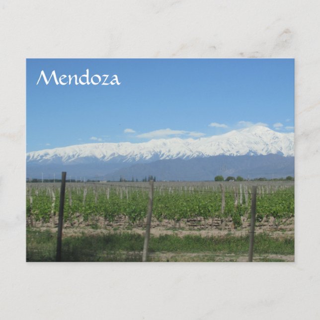 mendoza andes snö vykort (Framsida)