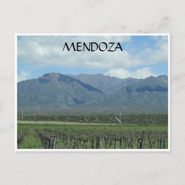 mendoza andes vineyard vykort (Framsida)