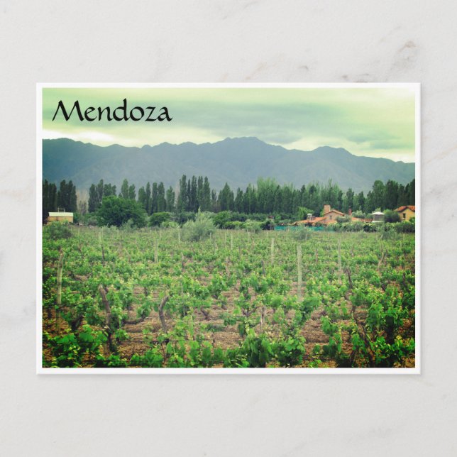 mendoza andes vineyard vykort (Framsida)