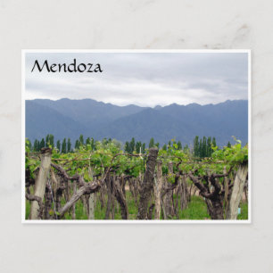 mendoza andes vins vykort