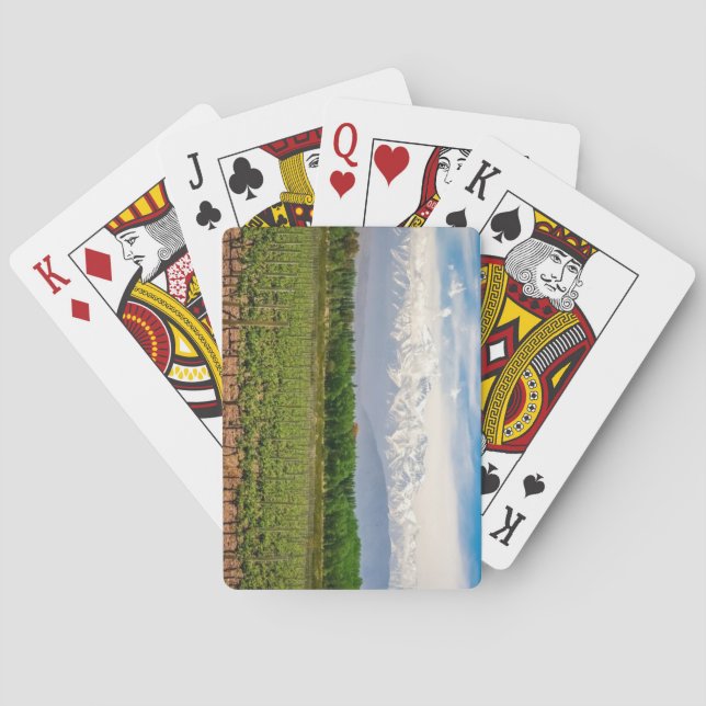 Mendoza, Argentina Casinokort (Baksidan)