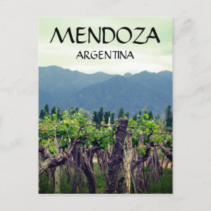 mendoza argentina vines vykort