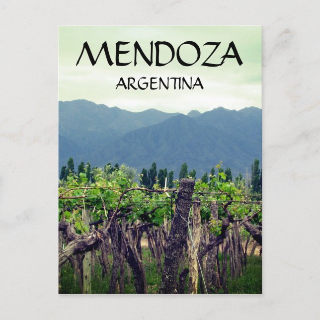 mendoza argentina vines vykort (Framsida)