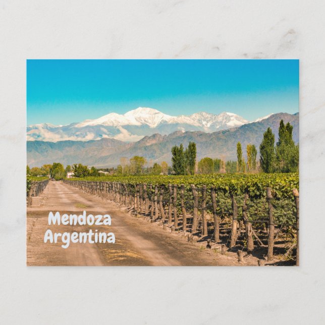 Mendoza, argentinskt vin, bergsområden vykort (Framsida)