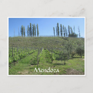 mendoza backe vykort
