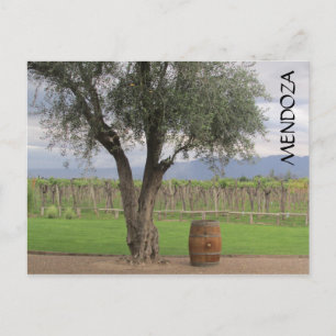 mendoza barrel träd vykort