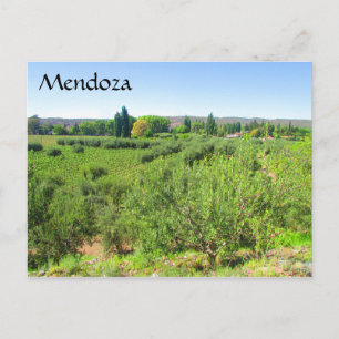 mendoza-grönt vykort