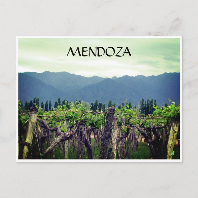 mendoza vines andes andes vykort (Framsida)