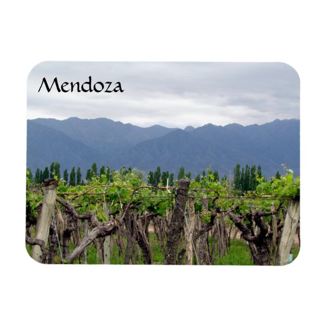 mendoza vines magnet (Horisontell)