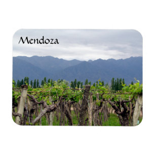 Mendoza-vinstockar Magnet