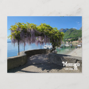 Mennagio Wisteria Vykort