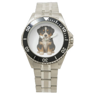 Men's Australian Shepherd SS Bracelet Watch Armbandsur