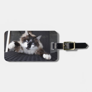 Meow! -Bagagelapp Bagagebricka