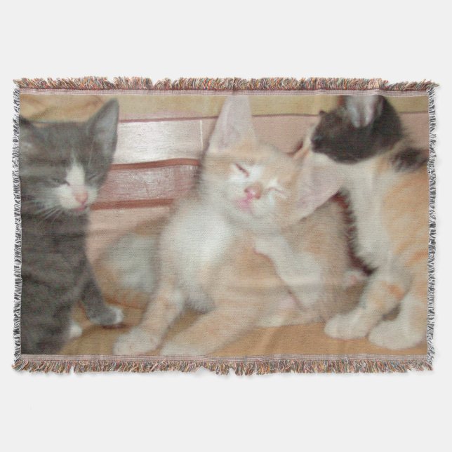 Meow Cats 10 Throw Blanket Mysfilt (Framsidan)