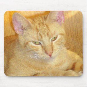 Meow Cats 15 Mousepad Musmatta