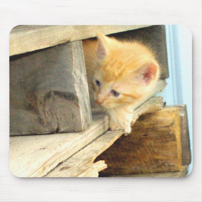 Meow Cats 1 MousePad Musmatta (Framsidan)