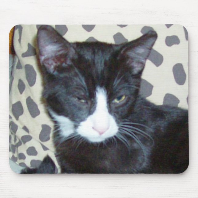 Meow Cats 20 Mousepad Musmatta (Framsidan)