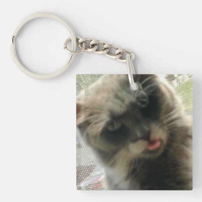 Meow Cats 2 Square Acrylic Keychain (Framsidan)