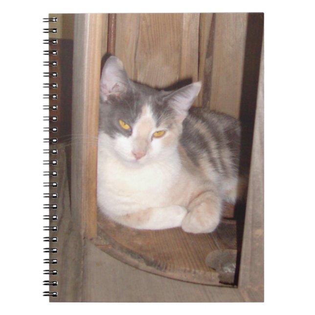 Meow Cats 33 Notebook Anteckningsbok Med Spiral (Framsidan)