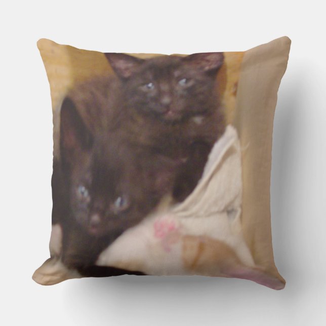 Meow Cats 38 Square Dekorativ kudde (Framsida)