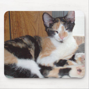 Meow Cats 39 Mousepad Musmatta