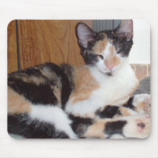 Meow Cats 39 Mousepad Musmatta (Framsidan)