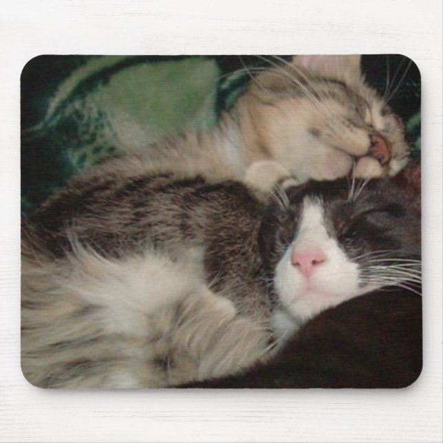 Meow Cats 3 Mousepad Musmatta (Framsidan)