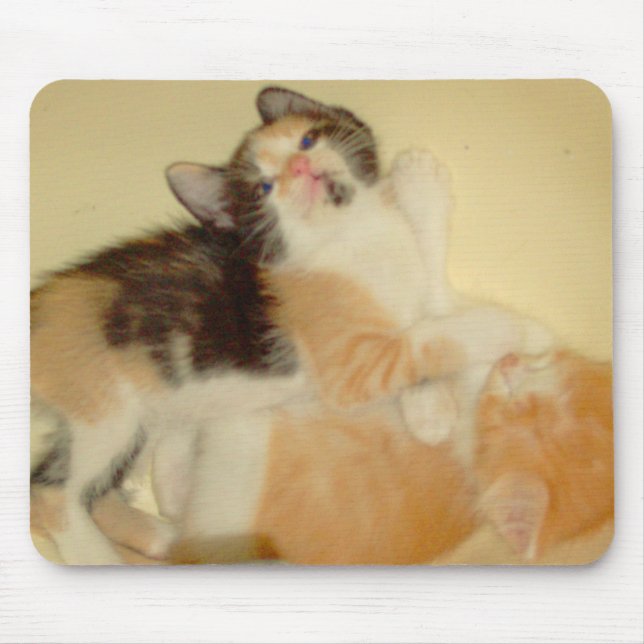 Meow Cats 5 Mousepad Musmatta (Framsidan)