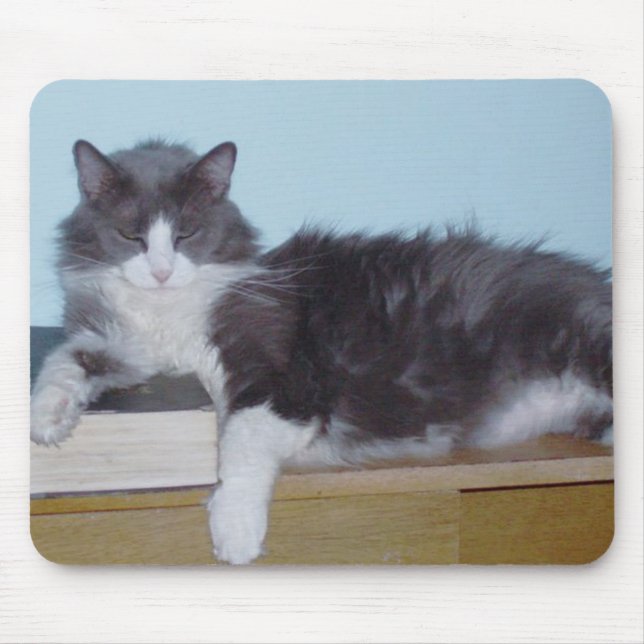 Meow Cats 9 Mousepad Musmatta (Framsidan)
