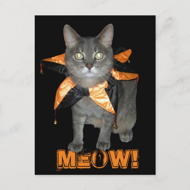 Meow Costume Cat Vykort (Framsida)