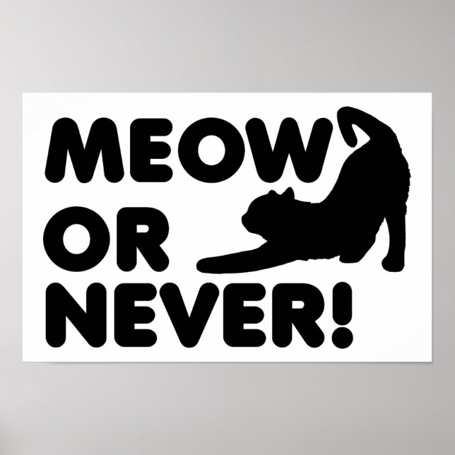 Meow eller Aldrig funny Poster (Framsidan)