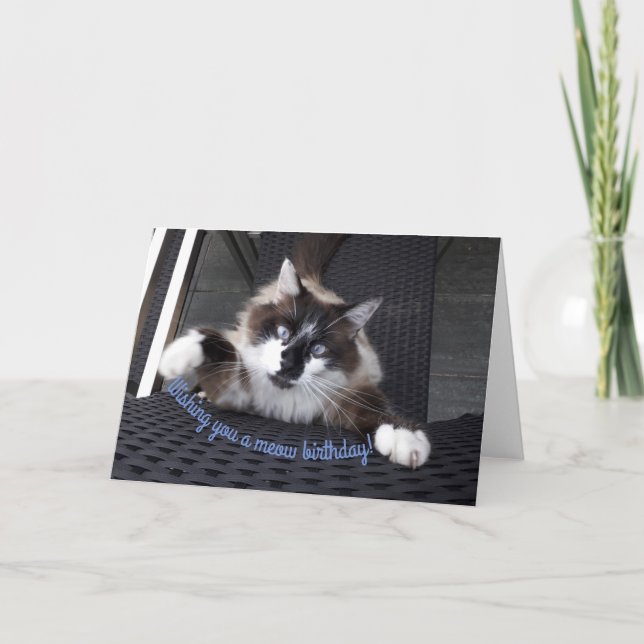 Meow-födelsedag! Kort (Framsida)