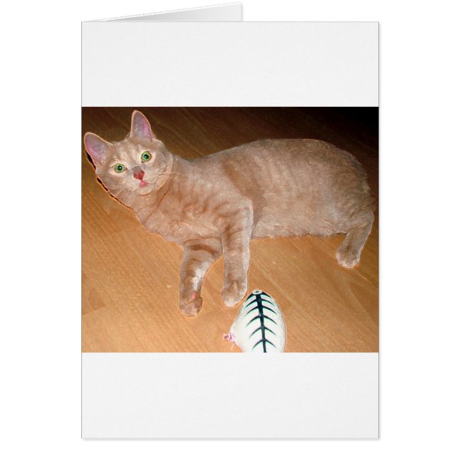 MEOW HÄLSNINGSKORT (Framsidan)