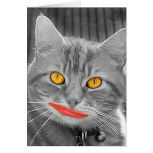 Meow Hälsningskort